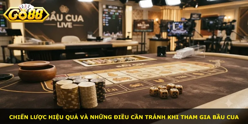 Chiến lược hiệu quả và những điều cần tránh khi tham gia bầu cua